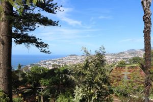 Jardim Botanico 10 | Madeira