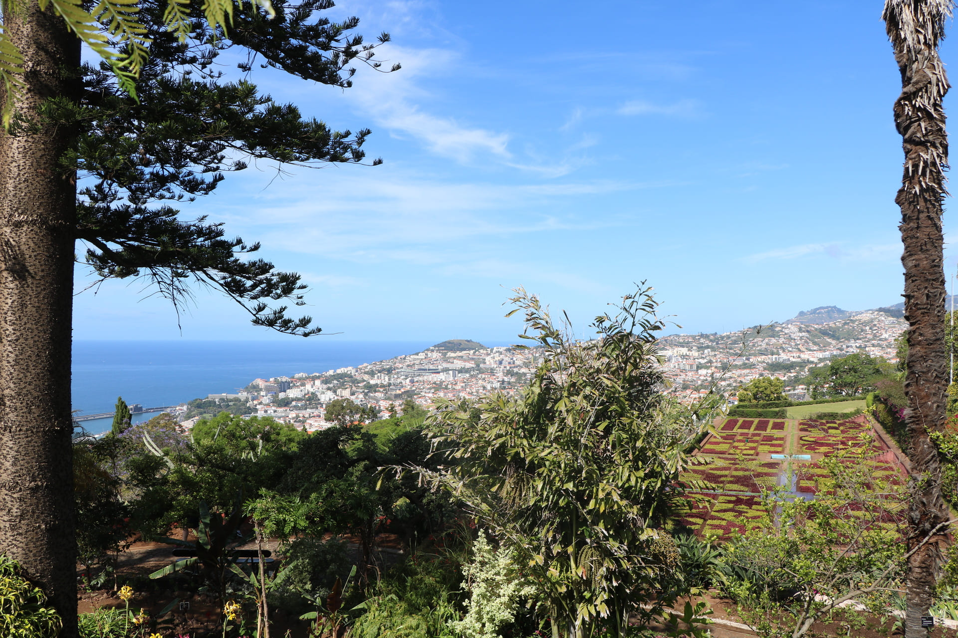 Jardim Botanico 10 | Madeira