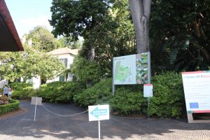 Jardim-Botanico-11 | Madeira