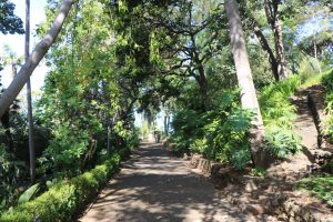 Jardim-Botanico-2 | Madeira