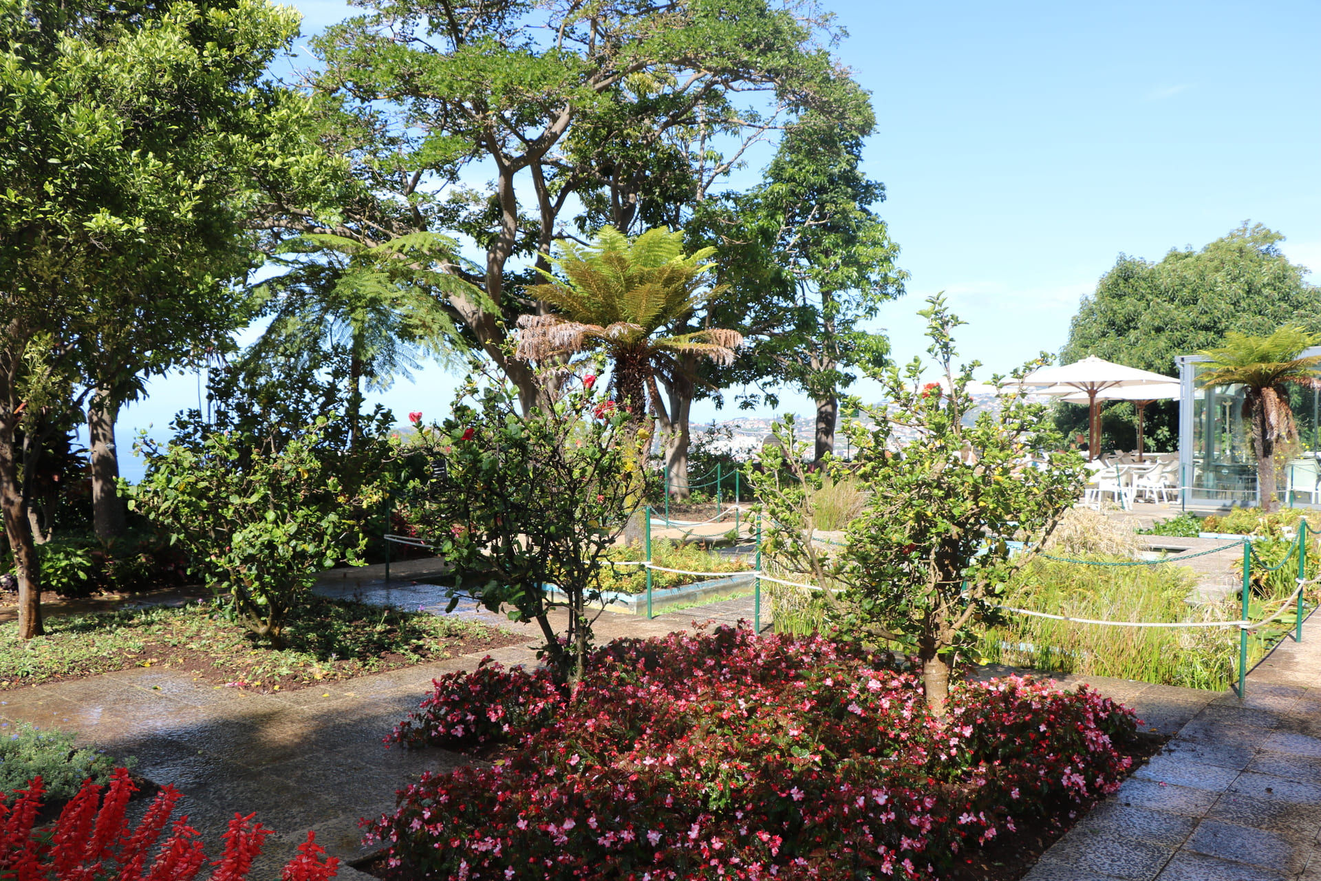 Jardim-Botanico-3 | Madeira