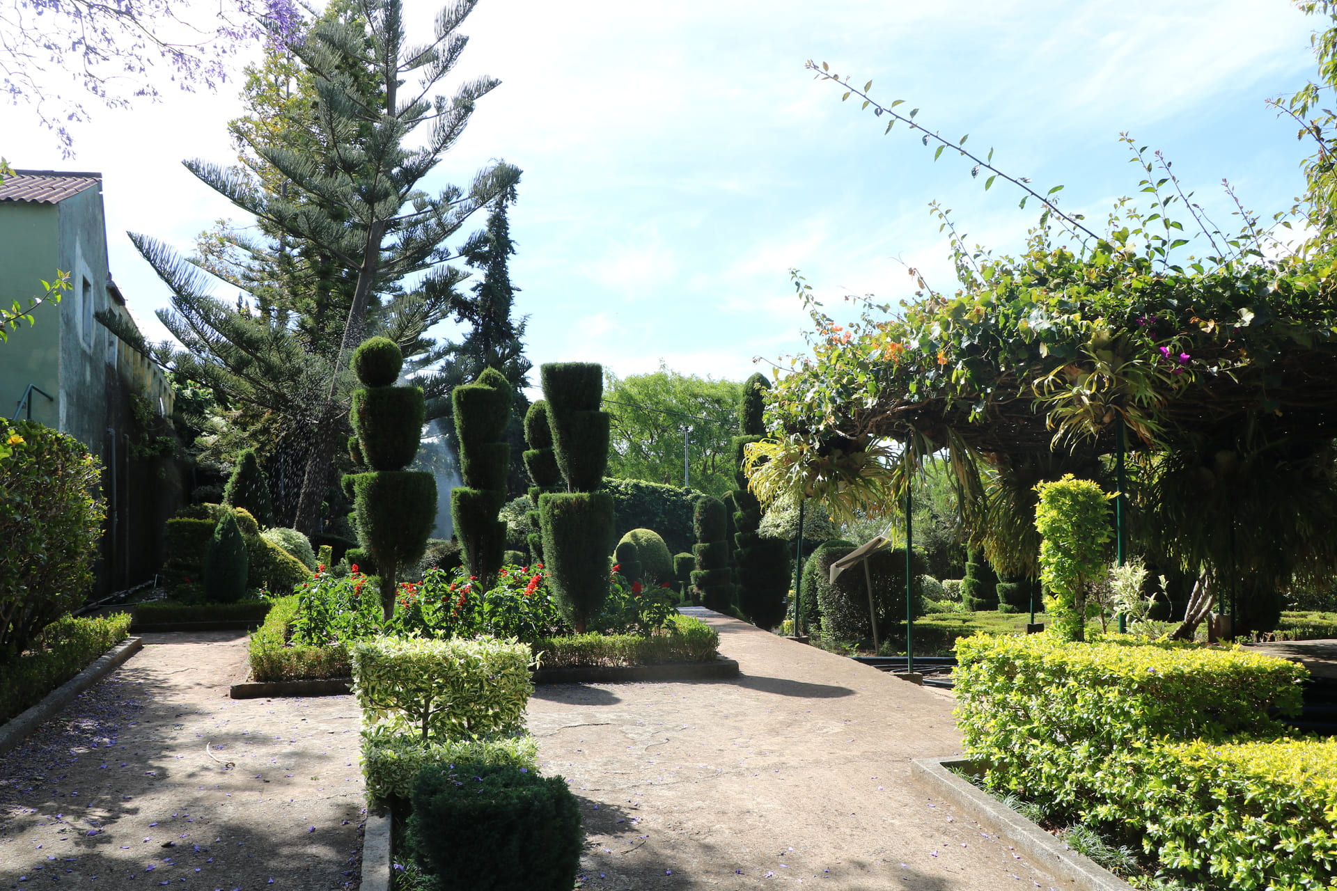 Jardim Botanico 5 | Madeira