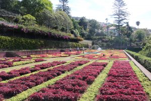 Jardim Botanico 7 | Madeira
