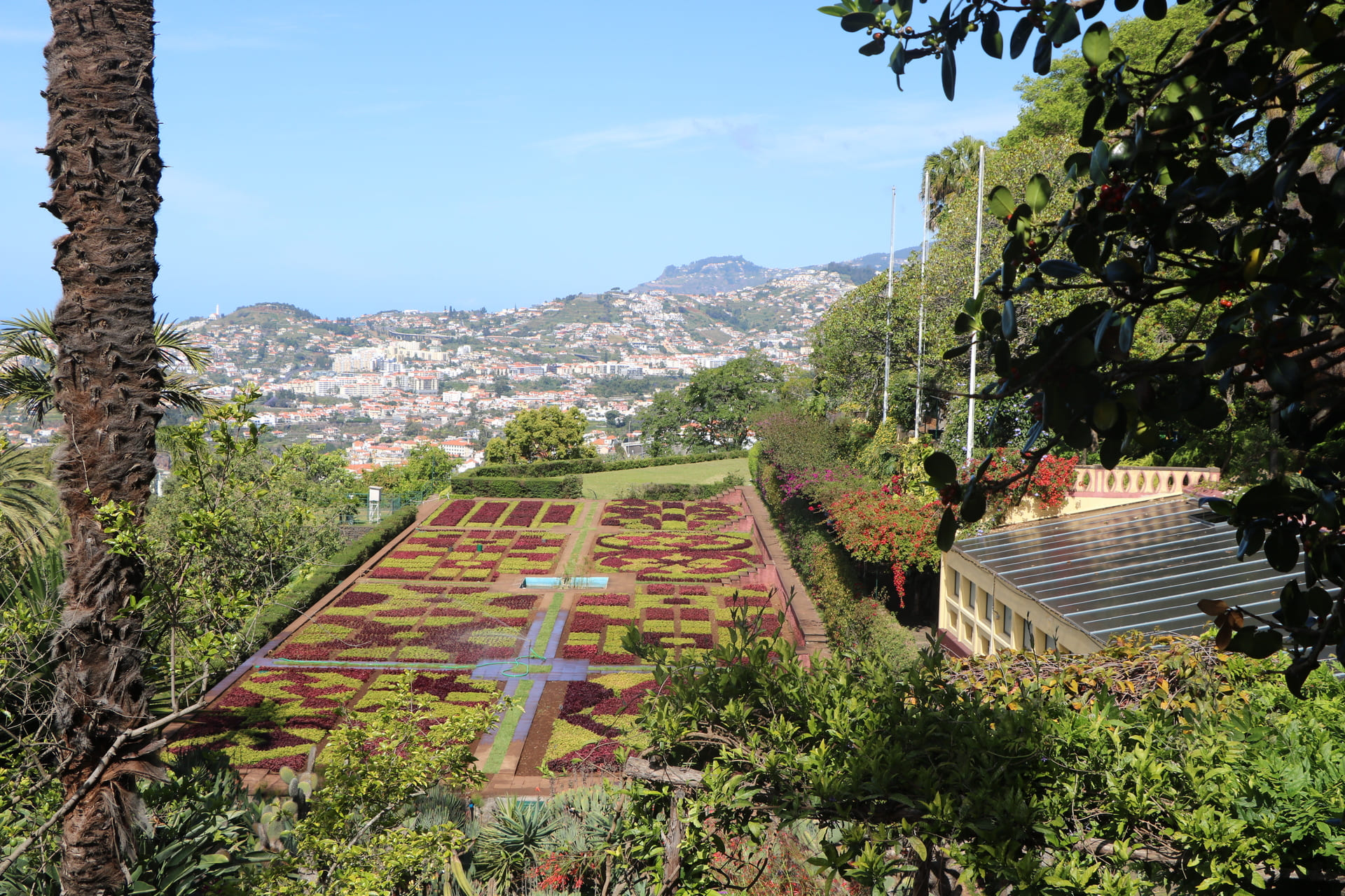 Jardim-Botanico-9 | Madeira