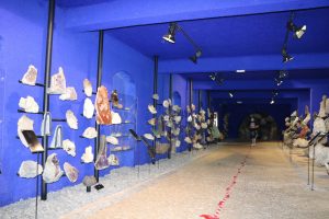 Monte-Palace-5 | Madeira