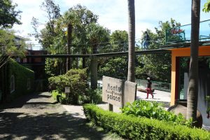 Monte-Palace-1 | Madeira