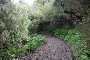 Passeio Pedestre - Risco - Calheta | Madeira