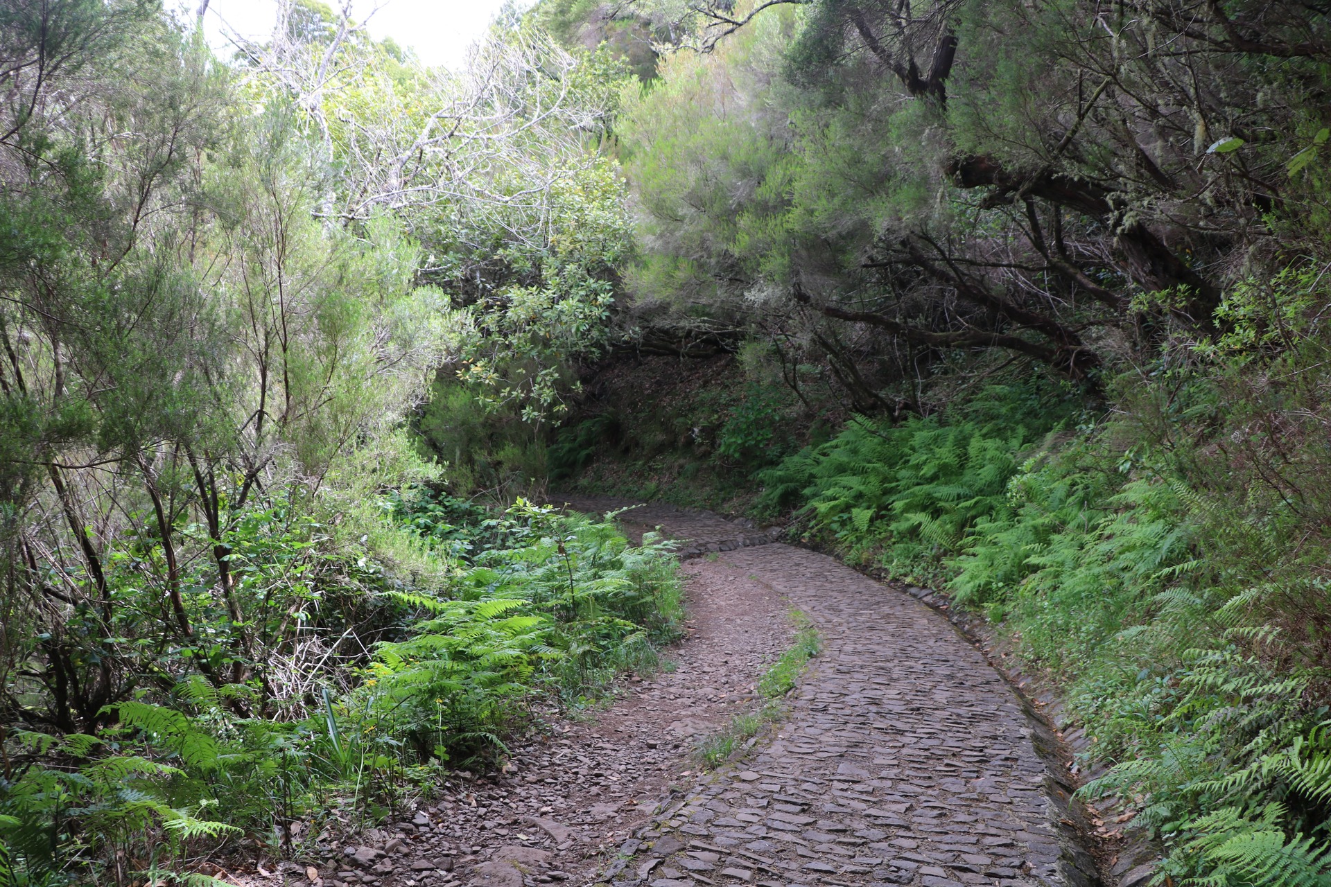 Passeio Pedestre - Risco - Calheta | Madeira