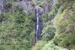 Passeio Pedestre - Risco, Calheta