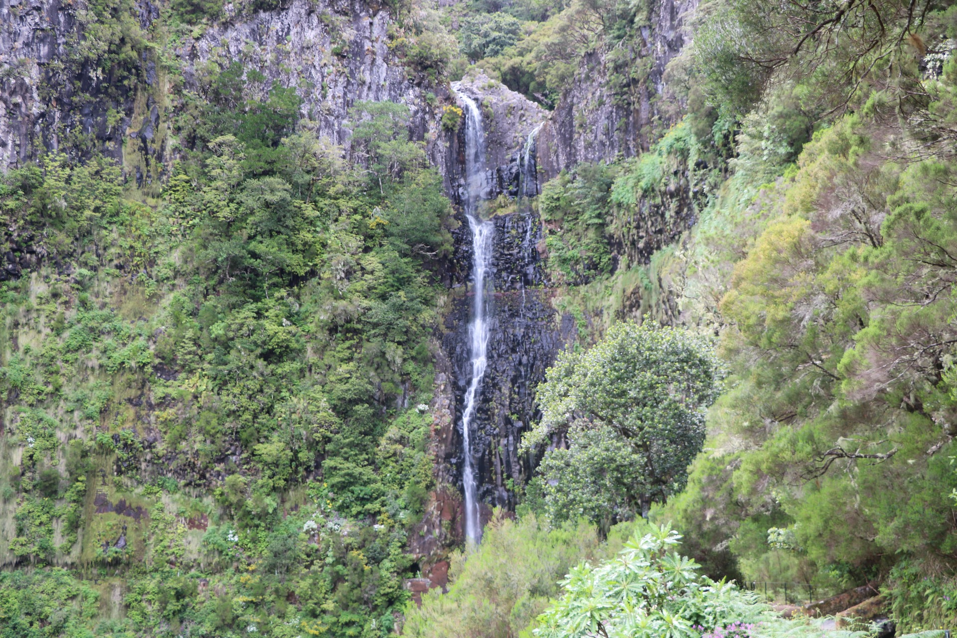 Passeio Pedestre - Risco, Calheta