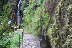 Passeio Pedestre - Risco - Calheta15
