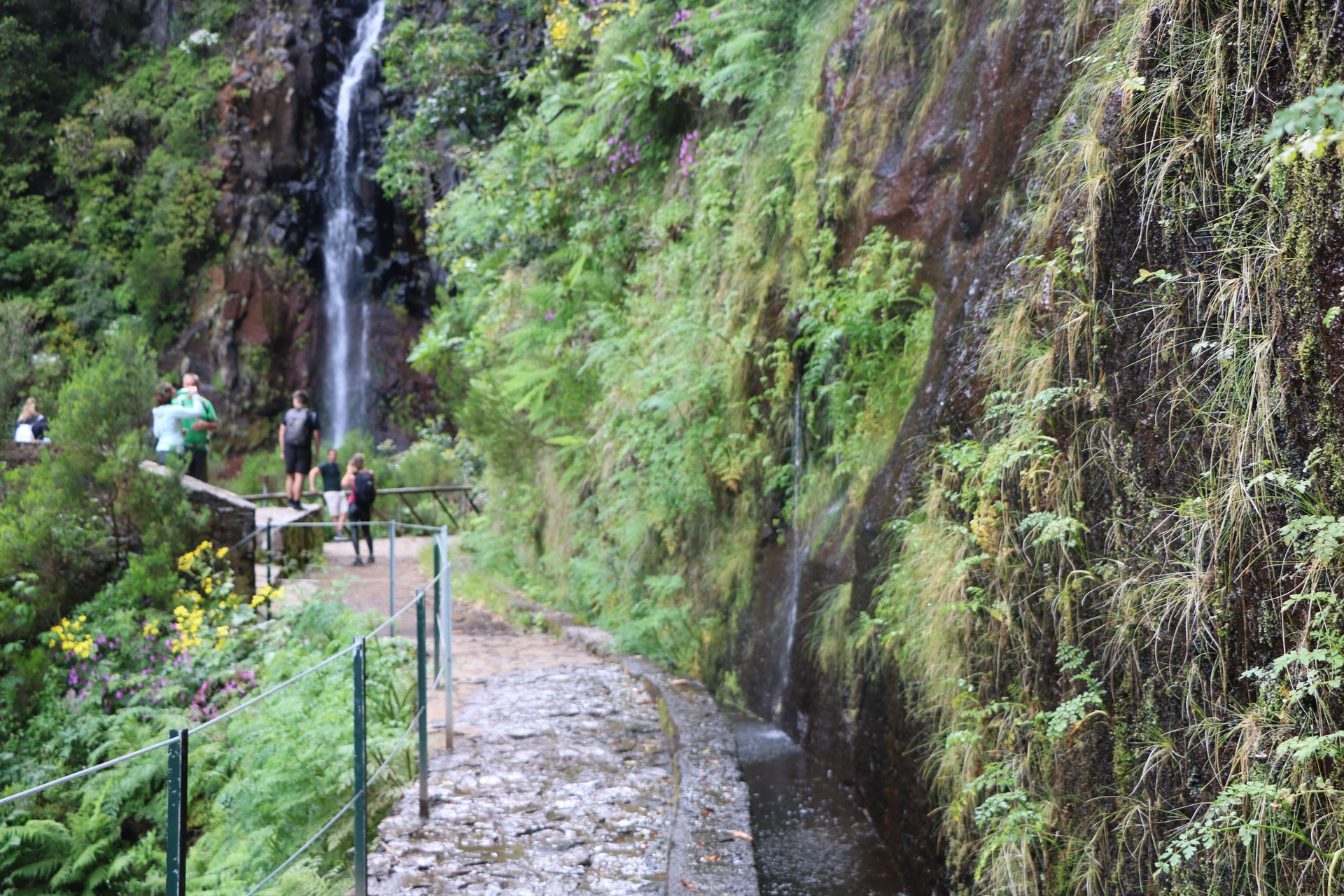 Passeio Pedestre - Risco - Calheta | Madeira
