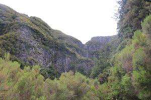 Passeio-Pedestre-Risco-Calheta-9 | Madeira
