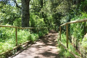 Passeio-Pedestre-das-Queimadas-2 | Madeira