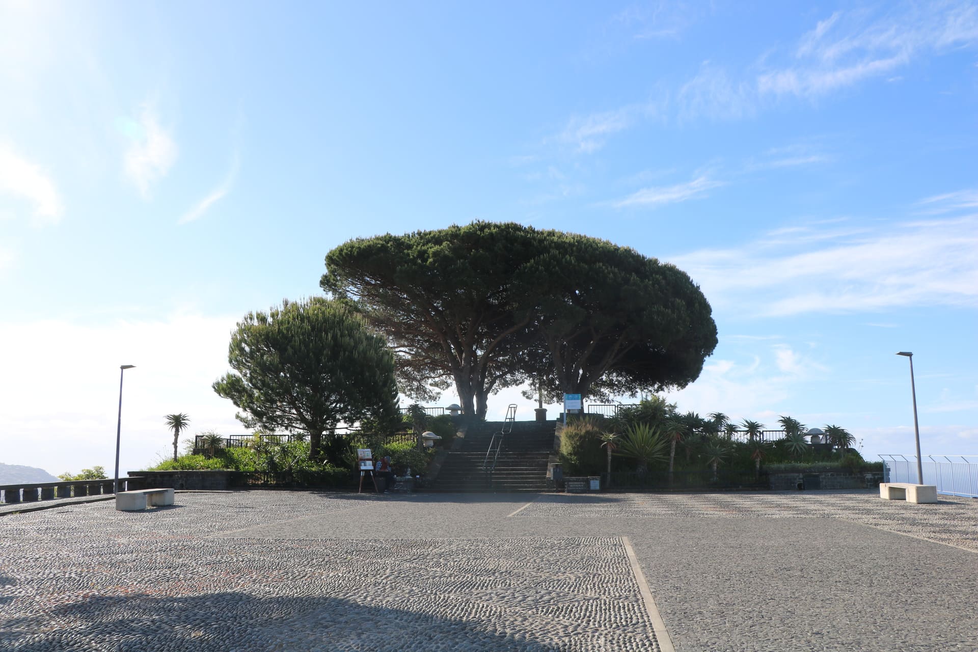 Pico-dos-Barcelos-1 | Madeira