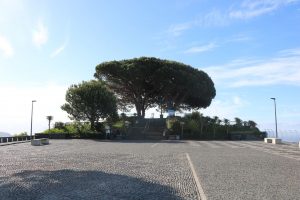 Pico-dos-Barcelos-2 | Madeira