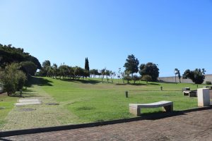 Praia-da-Calheta-4 | Madeira