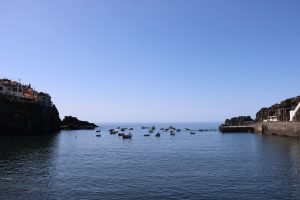 Vila Câmara de Lobos - 8 | Madeira