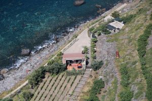 Vista-Teleferico-do-Rancho-Câmara-de-Lobos-4 | Madeira