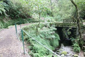 pesdestre-dos-balcoes15