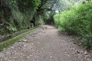 pesdestre-dos-balcoes16