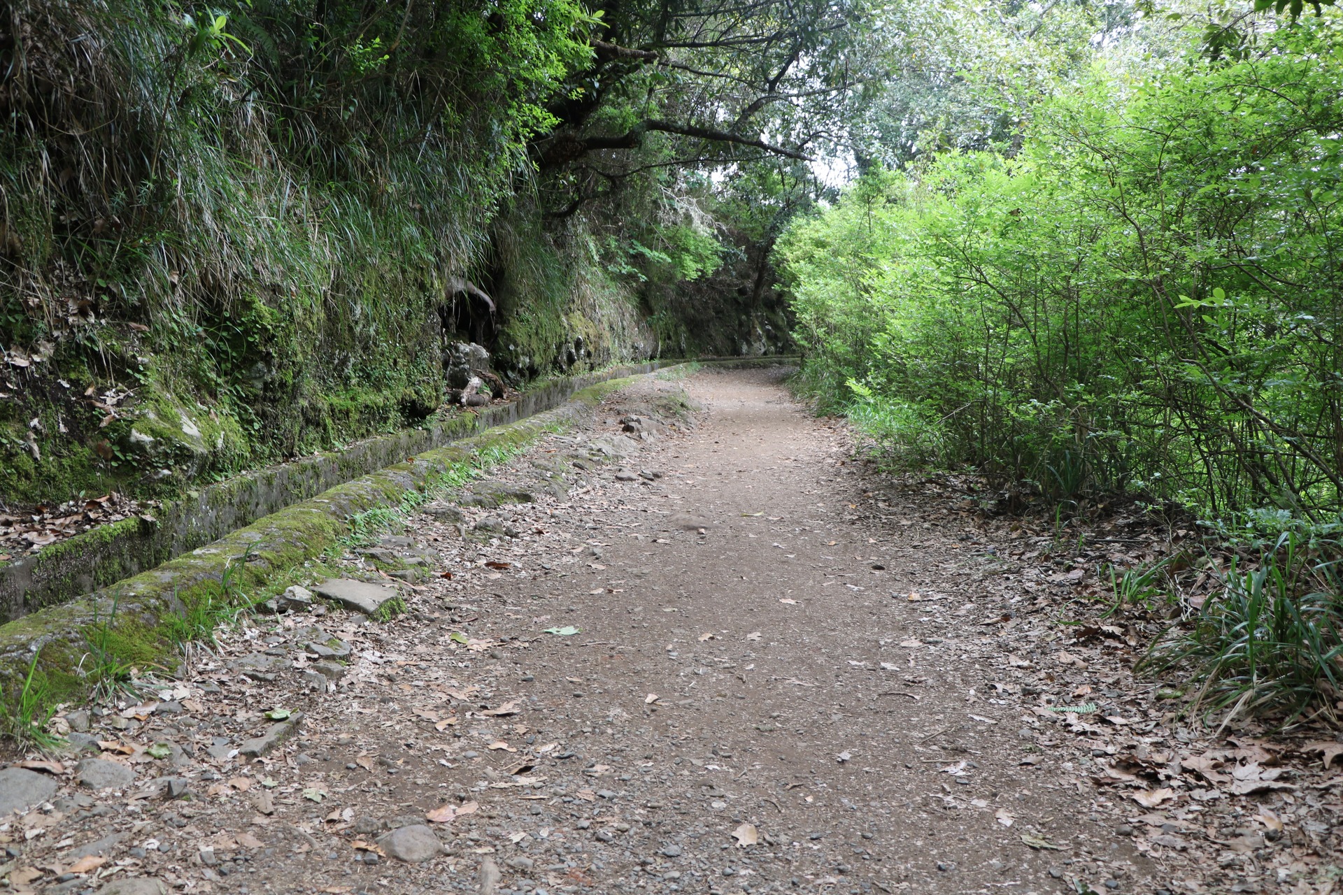 pesdestre-dos-balcoes16